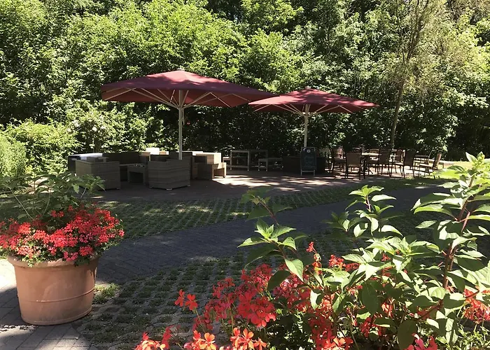 Отель Schroeders Stadtwaldhotel